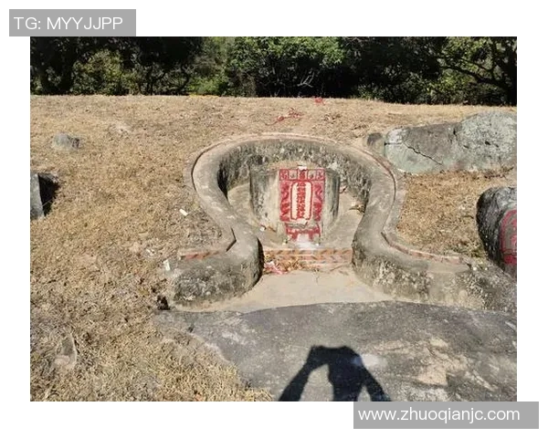 倪永康的政治生涯与影响力分析:从权力中心到历史评价的全面探讨 倪永康的政治生涯与影响力分析:从权力中心到历史评价的全面探讨