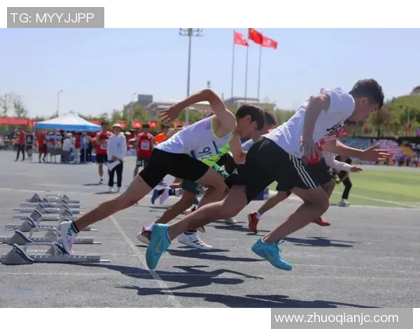 小保加与竞赛会的精彩对决揭示了新一轮体育竞技的魅力与挑战
