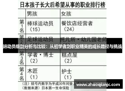 运动员级别分析与比较：从初学者到职业精英的成长路径与挑战